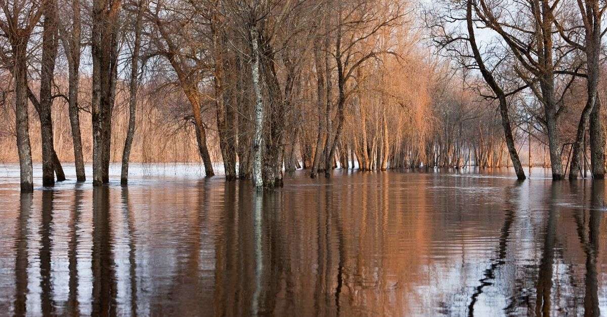 zone inondée en hiver